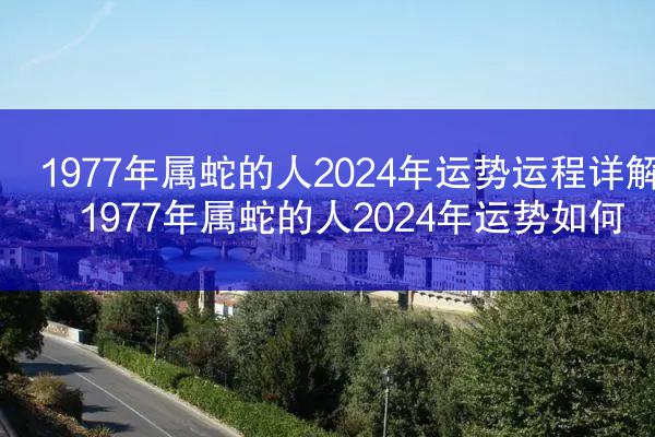 1977年属蛇的人2024年运势运程详解 1977年属蛇的人2024年运势如何