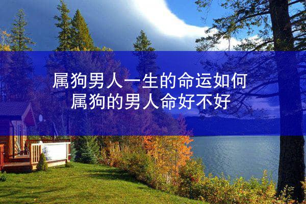 属狗男人一生的命运如何 属狗的男人命好不好
