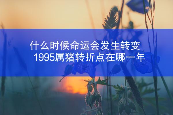 什么时候命运会发生转变 1995属猪转折点在哪一年