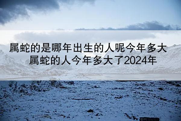 属蛇的是哪年出生的人呢今年多大 属蛇的人今年多大了2024年