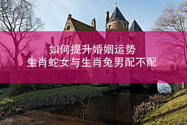 如何提升婚姻运势 生肖蛇女与生肖兔男配不配