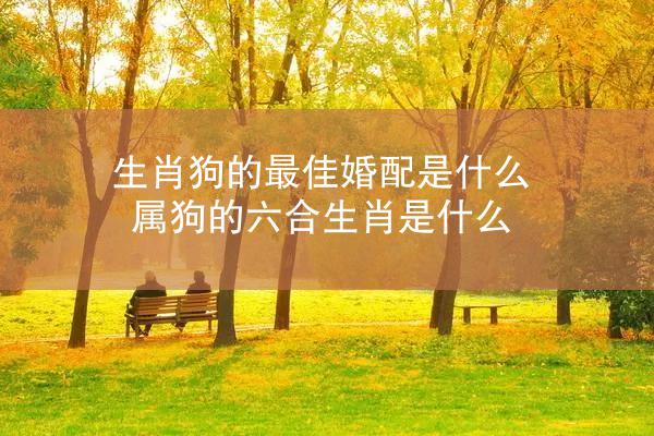 生肖狗的最佳婚配是什么 属狗的六合生肖是什么
