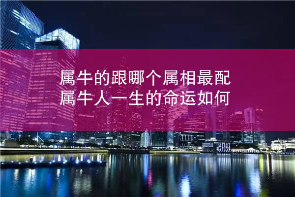 属牛的跟哪个属相最配 属牛人一生的命运如何