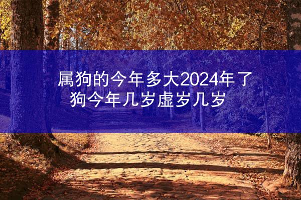 属狗的今年多大2024年了 狗今年几岁虚岁几岁