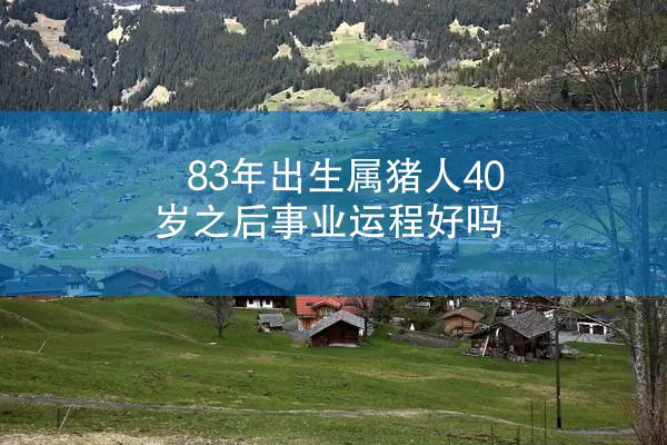 83年出生属猪人40岁之后事业运程好吗