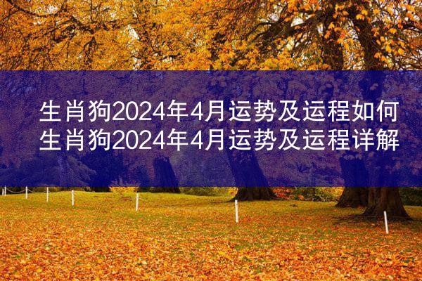 生肖狗2024年4月运势及运程如何 生肖狗2024年4月运势及运程详解