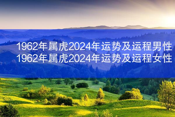 1962年属虎2024年运势及运程男性 1962年属虎2024年运势及运程女性