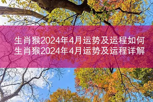 生肖猴2024年4月运势及运程如何 生肖猴2024年4月运势及运程详解
