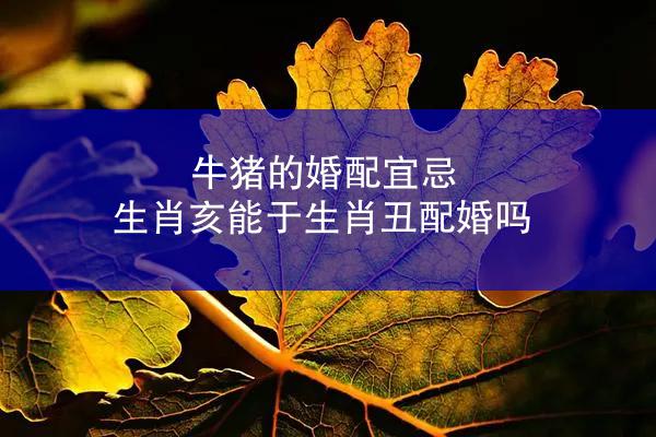 牛猪的婚配宜忌 生肖亥能于生肖丑配婚吗