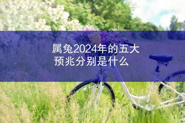 属兔2024年的五大预兆分别是什么