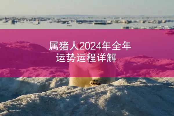 属猪人2024年全年运势运程详解