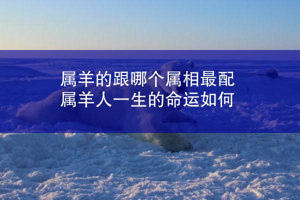 属羊的跟哪个属相最配 属羊人一生的命运如何