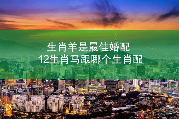 生肖羊是最佳婚配 12生肖马跟哪个生肖配