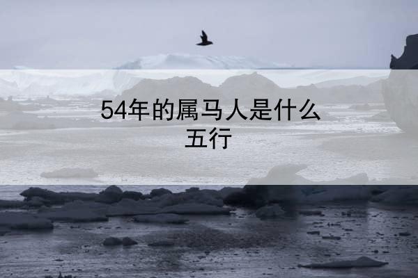 54年的属马人是什么五行