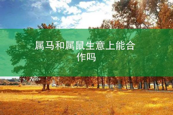 属马和属鼠生意上能合作吗
