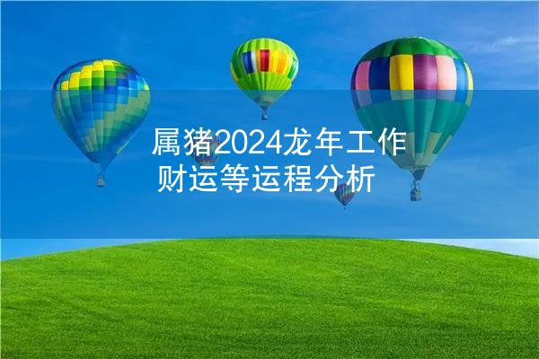 属猪2024龙年工作财运等运程分析