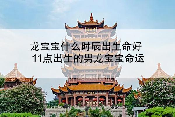 龙宝宝什么时辰出生命好 11点出生的男龙宝宝命运