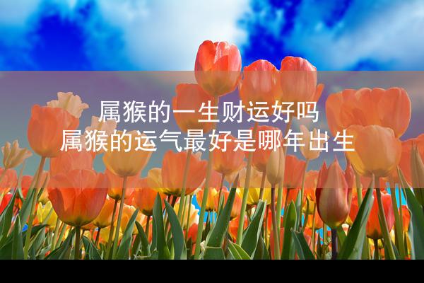 属猴的一生财运好吗 属猴的运气最好是哪年出生