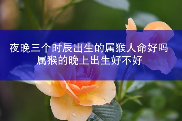夜晚三个时辰出生的属猴人命好吗 属猴的晚上出生好不好