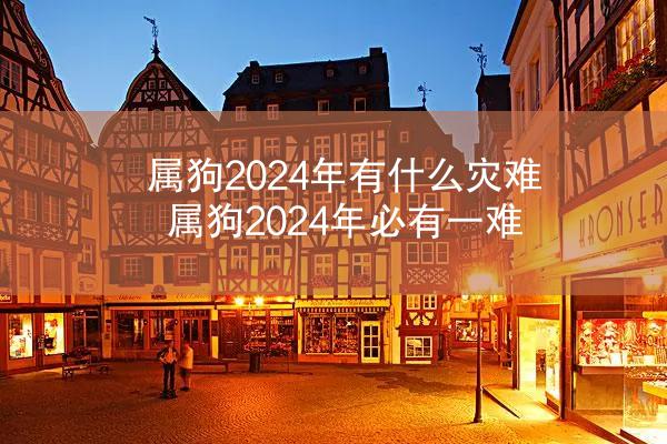 属狗2024年有什么灾难 属狗2024年必有一难