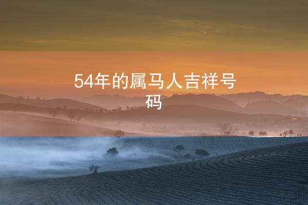 54年的属马人吉祥号码