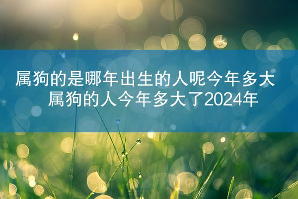 属狗的是哪年出生的人呢今年多大 属狗的人今年多大了2024年