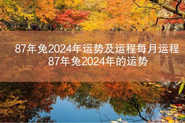 87年兔2024年运势及运程每月运程 87年兔2024年的运势