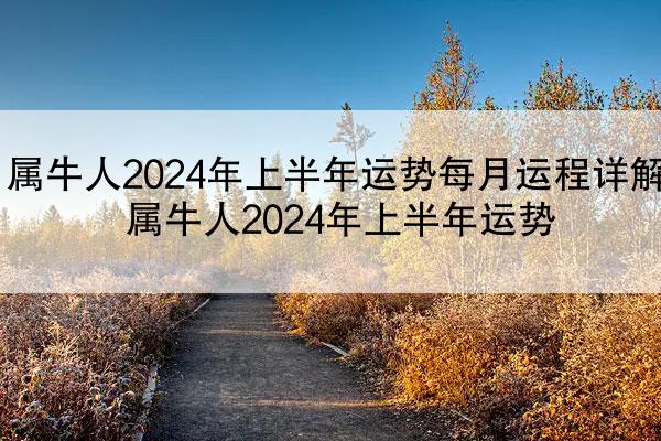属牛人2024年上半年运势每月运程详解 属牛人2024年上半年运势