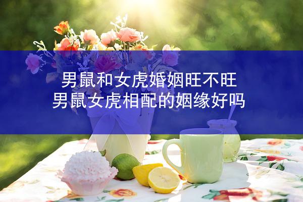 男鼠和女虎婚姻旺不旺 男鼠女虎相配的姻缘好吗