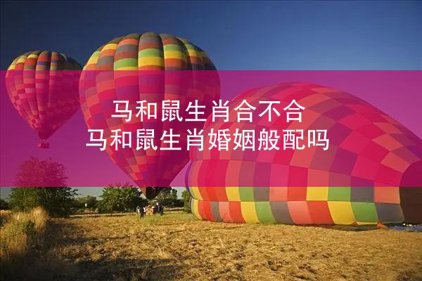 马和鼠生肖合不合 马和鼠生肖婚姻般配吗