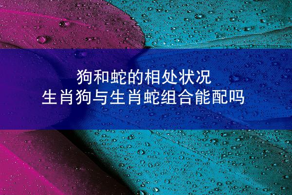 狗和蛇的相处状况 生肖狗与生肖蛇组合能配吗