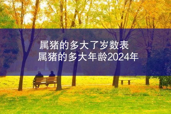 属猪的多大了岁数表 属猪的多大年龄2024年