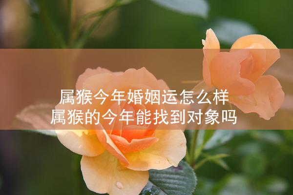  属猴今年婚姻运怎么样 属猴的今年能找到对象吗