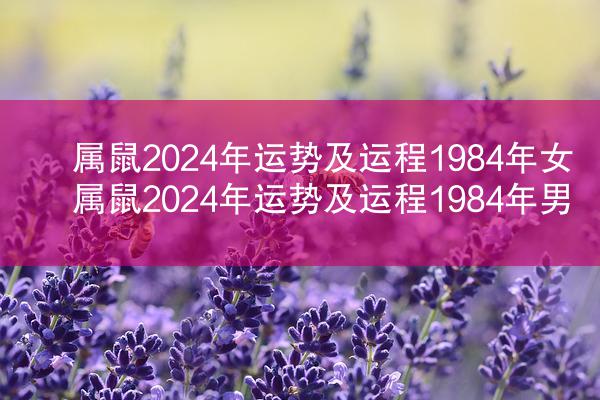 属鼠2024年运势及运程1984年女 属鼠2024年运势及运程1984年男