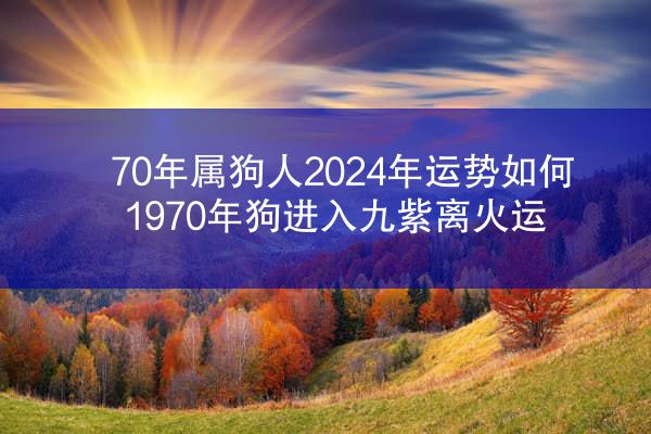 70年属狗人2024年运势如何 1970年狗进入九紫离火运