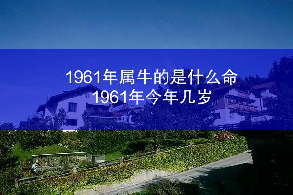 1961年属牛的是什么命 1961年今年几岁