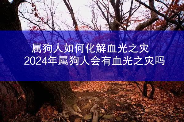 属狗人如何化解血光之灾 2024年属狗人会有血光之灾吗