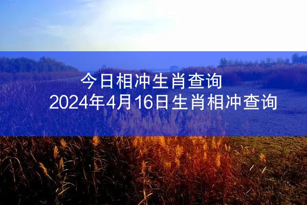 今日相冲生肖查询 2024年4月16日生肖相冲查询