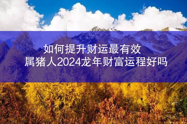 如何提升财运最有效 属猪人2024龙年财富运程好吗