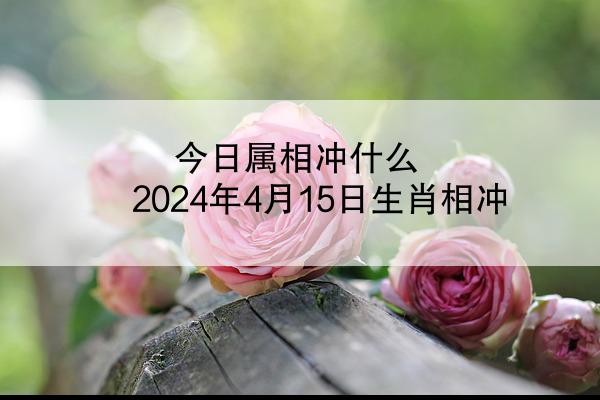 今日属相冲什么 2024年4月15日生肖相冲