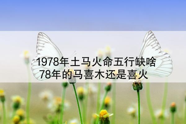  1978年土马火命五行缺啥 78年的马喜木还是喜火