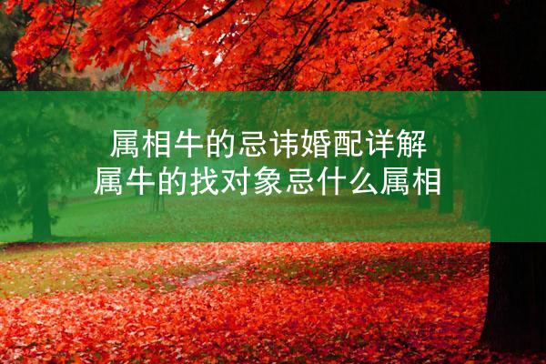 属相牛的忌讳婚配详解 属牛的找对象忌什么属相
