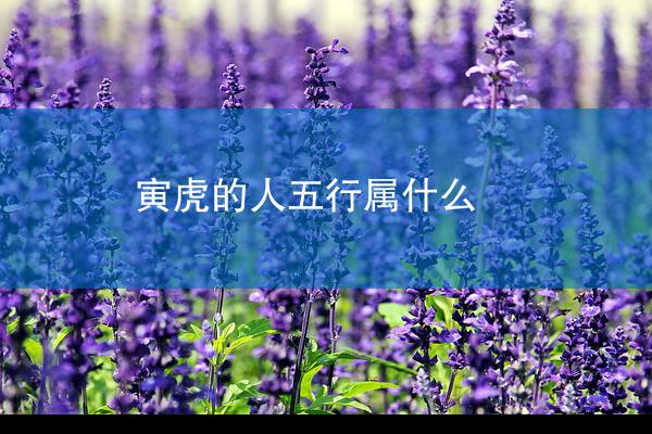 寅虎的人五行属什么