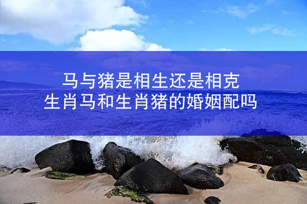 马与猪是相生还是相克 生肖马和生肖猪的婚姻配吗