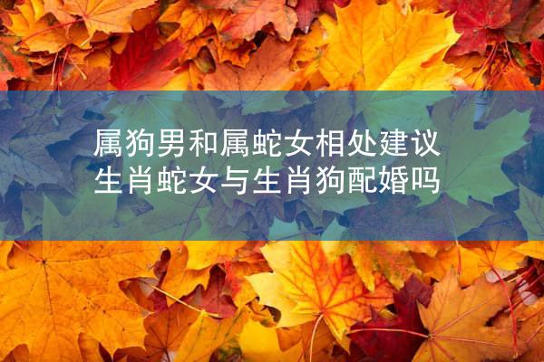 属狗男和属蛇女相处建议 生肖蛇女与生肖狗配婚吗
