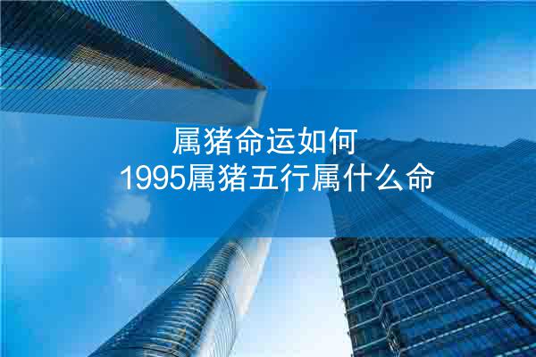属猪命运如何 1995属猪五行属什么命