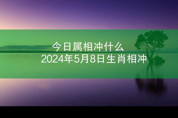 今日属相冲什么 2024年5月8日生肖相冲