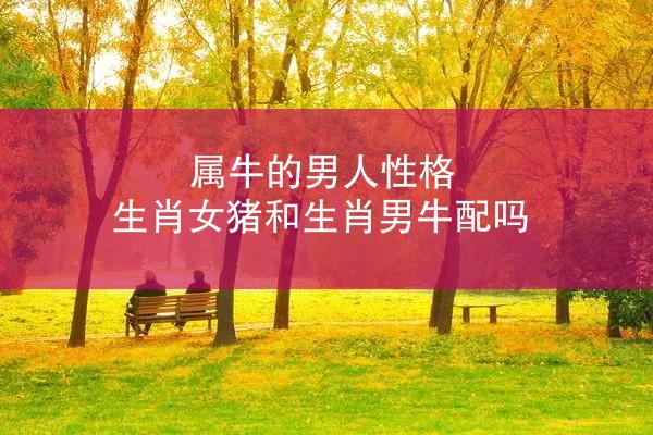 属牛的男人性格 生肖女猪和生肖男牛配吗