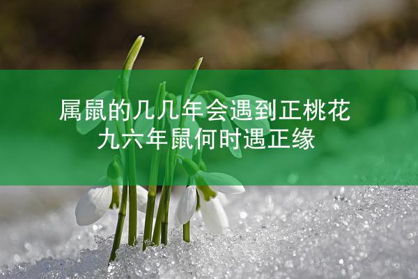 属鼠的几几年会遇到正桃花 九六年鼠何时遇正缘