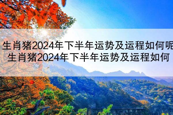 生肖猪2024年下半年运势及运程如何呢 生肖猪2024年下半年运势及运程如何